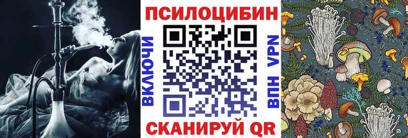Галлюциногенные грибы Magic Shrooms  площадка наркотические препараты  Дербент 