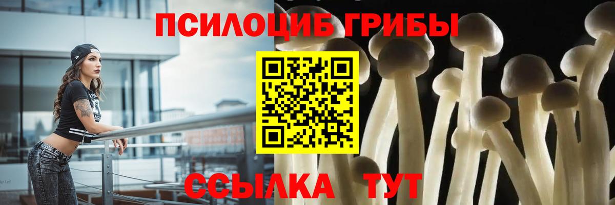 Галлюциногенные грибы мицелий Дербент